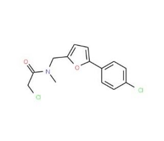 2-chloro-N-{[5-(4-chlorophenyl)-2-furyl]methyl}-N-methylacetamide - chemical structure image