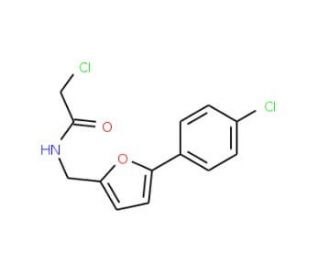 2-chloro-N-{[5-(4-chlorophenyl)-2-furyl]methyl}acetamide - chemical structure image