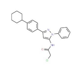 2-Chloro-N-[5-(4-cyclohexyl-phenyl)-2-phenyl-2H-pyrazol-3-yl]-acetamide - chemical structure image