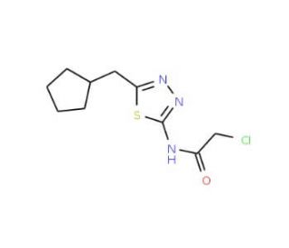 2-Chloro-N-[5-(cyclopentylmethyl)-1,3,4-thiadiazol-2-yl]acetamide - chemical structure image