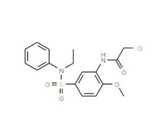 2-Chloro-N-[5-(ethyl-phenyl-sulfamoyl)-2-methoxy-phenyl]-acetamide - chemical structure image