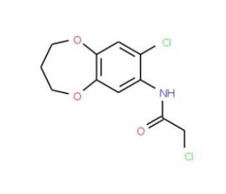 2-chloro-N-(8-chloro-3,4-dihydro-2H-1,5-benzodioxepin-7-yl)acetamide - chemical structure image