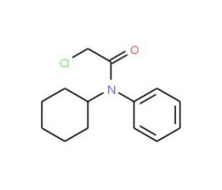 2-chloro-N-cyclohexyl-N-phenylacetamide (CAS 100721-33-3) - chemical structure image