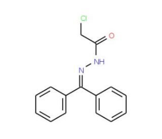 2-chloro-N&prime;-(diphenylmethylene)acetohydrazide (CAS 29043-58-1) - chemical structure image