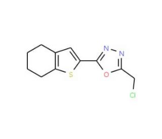2-(chloromethyl)-5-(4,5,6,7-tetrahydro-1-benzothien-2-yl)-1,3,4-oxadiazole - chemical structure image