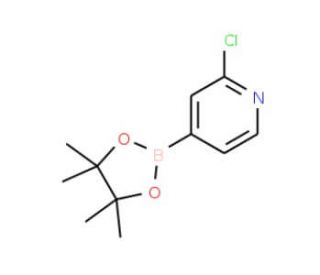 2-Chloropyridine-4-boronic acid pinacol ester (CAS 458532-84-8) - chemical structure image