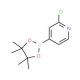 2-Chloropyridine-4-boronic acid pinacol ester (CAS 458532-84-8) - chemical structure image