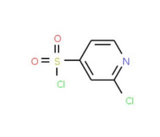 2-chloropyridine-4-sulfonyl chloride (CAS 1000933-25-4) - chemical structure image