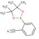2-Cyanophenylboronic acid pinacol ester (CAS 214360-48-2) - chemical structure image