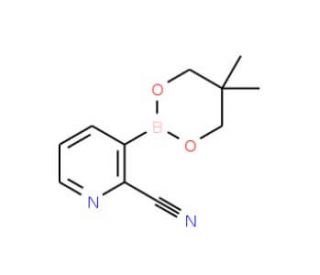2-Cyanopyridine-3-boronic acid neopentyl glycol ester (CAS 868944-75-6) - chemical structure image
