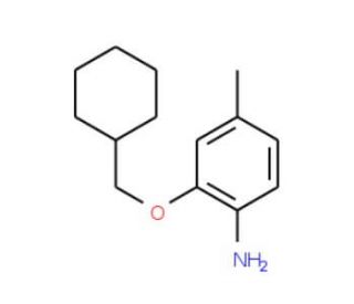 2-(Cyclohexylmethoxy)-4-methylaniline - chemical structure image