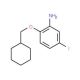 2-(Cyclohexylmethoxy)-5-fluoroaniline - chemical structure image