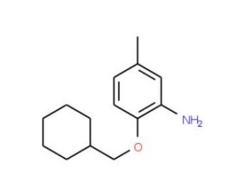 2-(Cyclohexylmethoxy)-5-methylaniline - chemical structure image