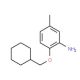 2-(Cyclohexylmethoxy)-5-methylaniline - chemical structure image