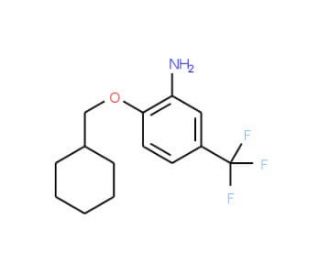 2-(Cyclohexylmethoxy)-5-(trifluoromethyl)aniline - chemical structure image