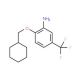2-(Cyclohexylmethoxy)-5-(trifluoromethyl)aniline - chemical structure image