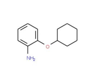 2-Cyclohexyloxy-phenylamine (CAS 105973-37-3) - chemical structure image