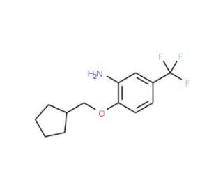 2-(Cyclopentylmethoxy)-5-(trifluoromethyl)aniline - chemical structure image