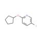 2-Cyclopentyloxy-5-iodopyridine - chemical structure image