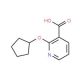 2-(cyclopentyloxy)nicotinic acid (CAS 953732-05-3) - chemical structure image
