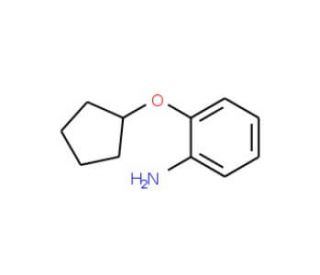2-Cyclopentyloxy-phenylamine (CAS 29026-75-3) - chemical structure image