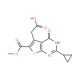 [2-cyclopropyl-6-(methoxycarbonyl)-4-oxo-3,4-dihydrothieno[2,3-d]pyrimidin-5-yl]acetic acid - chemical structure image