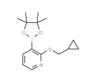 2-Cyclopropylmethoxy-3-(4,4,5,5-tetramethyl-[1,3,2]dioxaborolan-2-yl)-pyridine (CAS 848243-26-5) - chemical structure image
