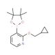 2-Cyclopropylmethoxy-3-(4,4,5,5-tetramethyl-[1,3,2]dioxaborolan-2-yl)-pyridine (CAS 848243-26-5) - chemical structure image