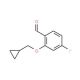 2-(Cyclopropylmethoxy)-4-fluorobenzaldehyde - chemical structure image