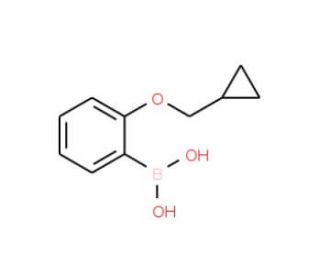 [2-(cyclopropylmethoxy)phenyl]boranediol (CAS 1050510-36-5) - chemical structure image