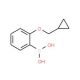 [2-(cyclopropylmethoxy)phenyl]boranediol (CAS 1050510-36-5) - chemical structure image