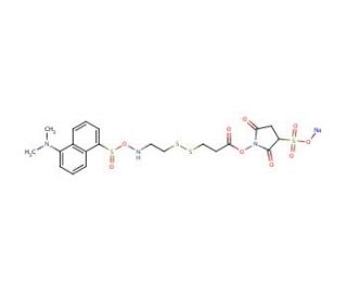 2-(Dansylsulfonamido)ethyl-3-(N-sulfosuccinimidylcarboxy)ethyl Disulfide, Sodium Salt - chemical structure image