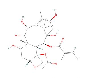 2-Debenzoyl-2-tigloyl 10-Deacetyl Baccatin III (CAS 171926-87-7) - chemical structure image