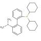 2-Dicyclohexylphosphino-2′-(N,N-dimethylamino)biphenyl (CAS 213697-53-1) - chemical structure image