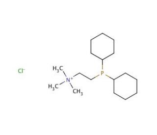 [2-(Dicyclohexylphosphino)ethyl]trimethylammonium chloride (CAS 181864-78-8) - chemical structure image