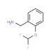 2-(Difluoromethoxy)benzylamine (CAS 243863-36-7) - chemical structure image