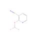 2-(Difluoromethoxy)pyridine-3-carbonitrile (CAS 1214388-53-0) - chemical structure image