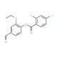 2-Ethoxy-4-formylphenyl 2,4-dichlorobenzoate - chemical structure image