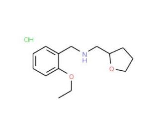 (2-Ethoxy-benzyl)-(tetrahydro-furan-2-ylmethyl)-amine hydrochloride - chemical structure image