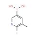 2-Fluoro-3-methylpyridine-5-boronic acid (CAS 904326-92-7) - chemical structure image