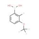 2-Fluoro-3-(trifluoromethoxy)benzeneboronic acid (CAS 881402-25-1) - chemical structure image