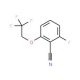 2-Fluoro-6-(2,2,2-trifluoroethoxy)benzonitrile (CAS 119584-74-6) - chemical structure image