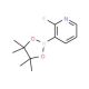 2-Fluoropyridine-3-boronic acid, pinacol ester (CAS 452972-14-4) - chemical structure image