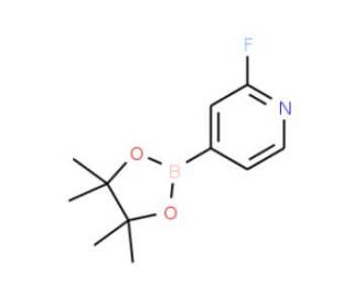 2-Fluoropyridine-4-boronic acid pinacol ester (CAS 458532-86-0) - chemical structure image