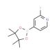 2-Fluoropyridine-4-boronic acid pinacol ester (CAS 458532-86-0) - chemical structure image