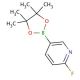 2-Fluoropyridine-5-boronic acid pinacol ester (CAS 444120-95-0) - chemical structure image
