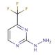 2-Hydrazino-4-(trifluoromethyl)pyrimidine (CAS 197305-97-8) - chemical structure image
