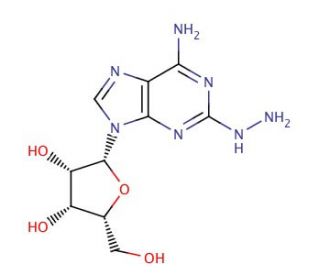 2-Hydrazino Adenosine (CAS 15763-11-8) - chemical structure image
