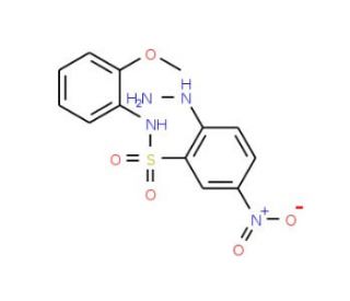 2-Hydrazino-N-(2-methoxy-phenyl)-5-nitro-benzenesulfonamide - chemical structure image