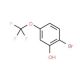 2-Hydroxy-4-(trifluoromethoxy)bromobenzene (CAS 205371-26-2) - chemical structure image